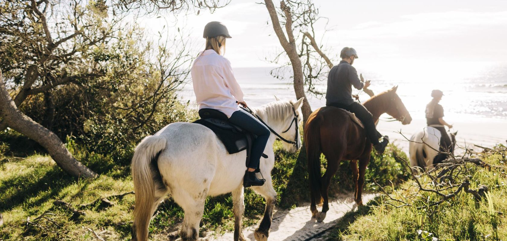 Zephyr Horses, Byron Bay